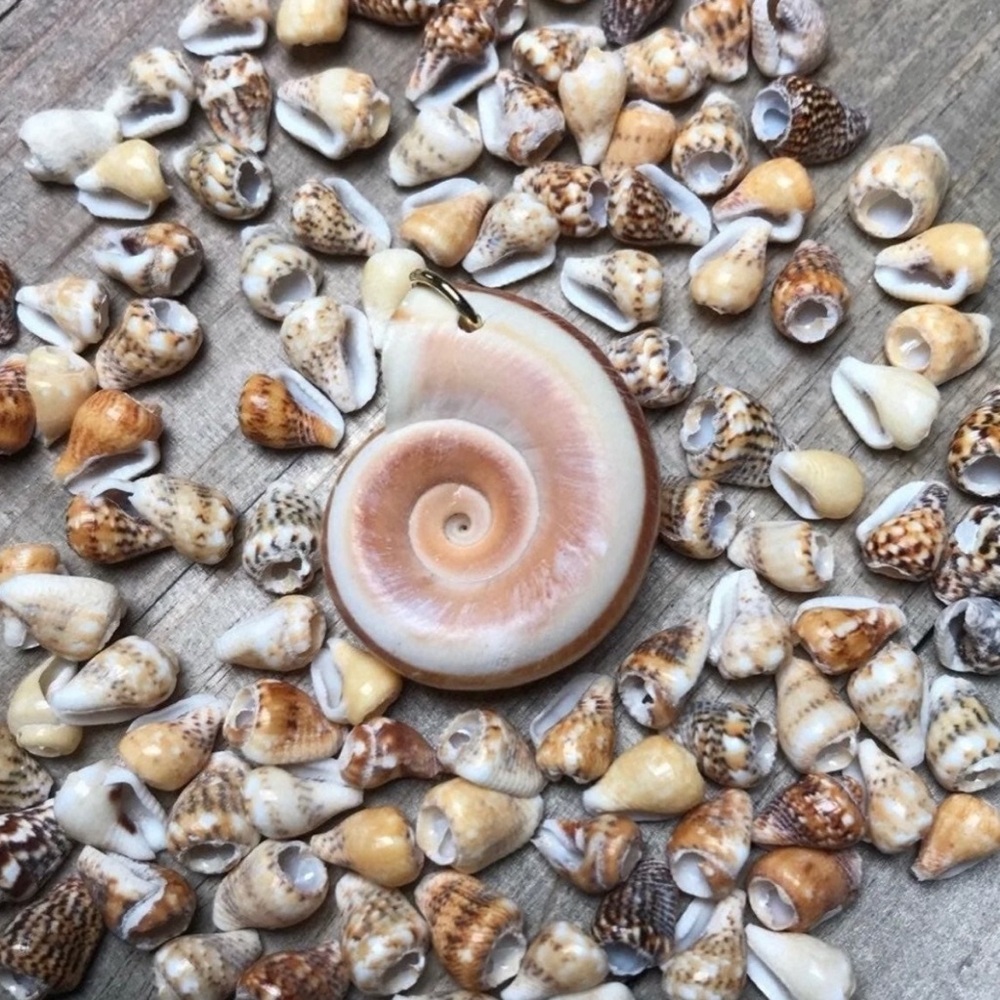 Real Dove Shell Beads w Rams Horn Pendant Mixed Lot DIY Jewelry Making Crafting